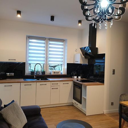 Villa Mila Apartamenty Karpacz Extérieur photo