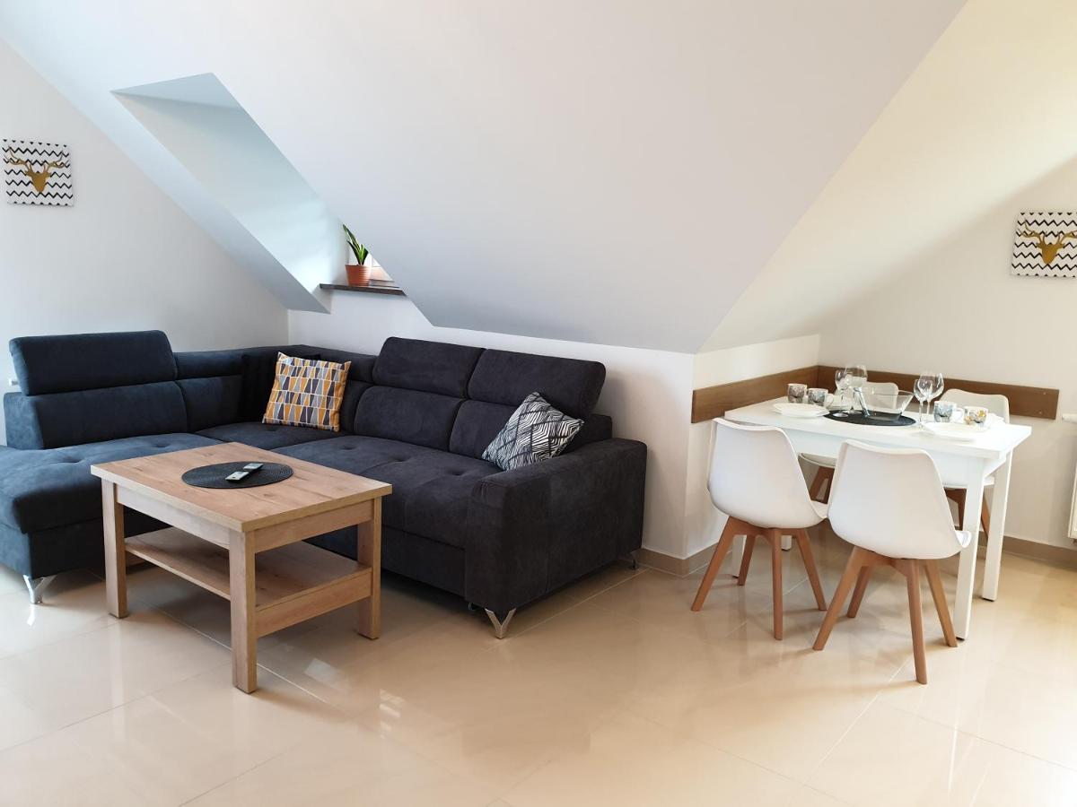 Villa Mila Apartamenty Karpacz Extérieur photo